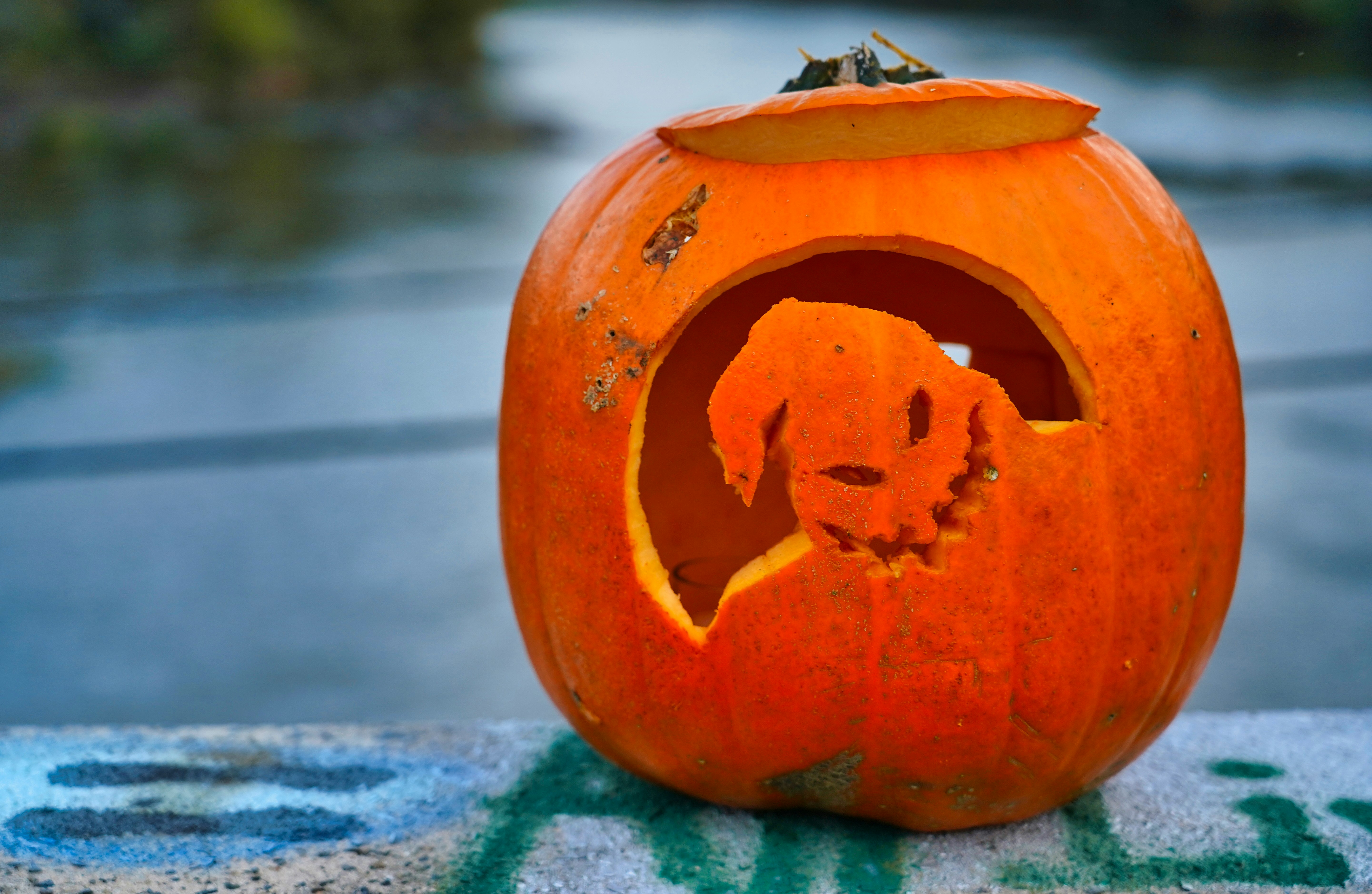 orange pumpkin on blue and white textile